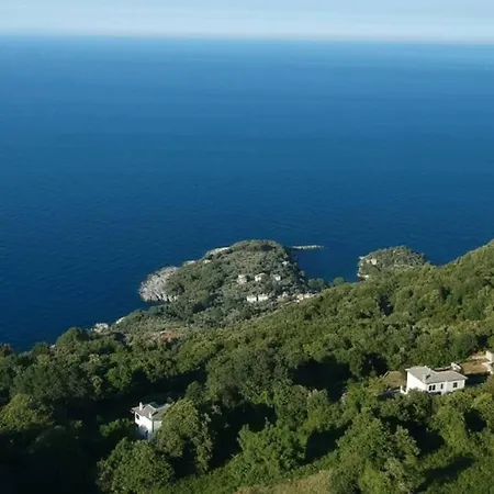 Deja Blue Mourésion